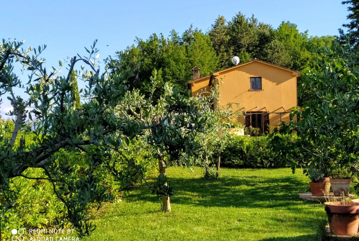 Luxury 5 Bed B&B for Sale In Sant’Angelo in Vado Marche Italy