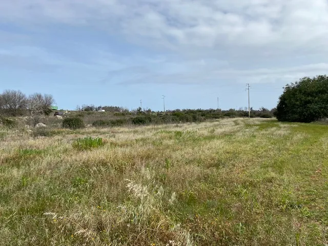 Excellent Plot of land for sale in Morciano di Leuca Puglia Italy