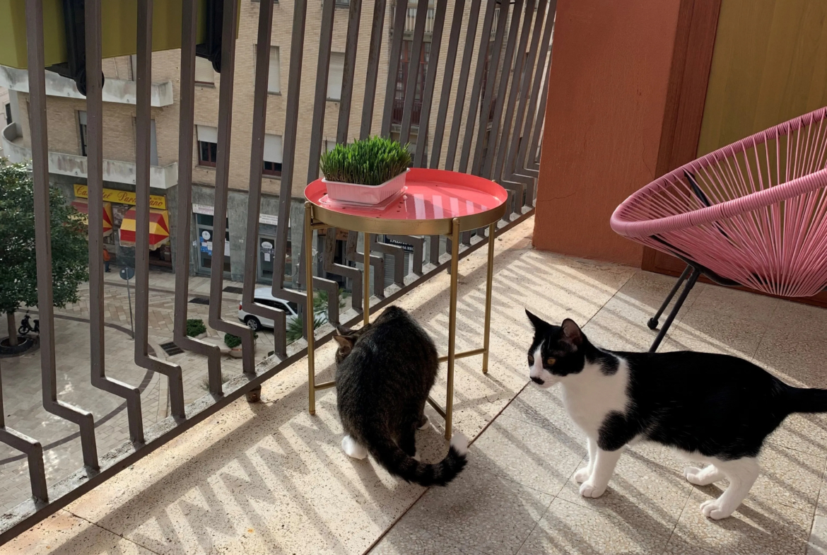 Excellent 2 Bed Apartment for Sale In Brindisi Italy