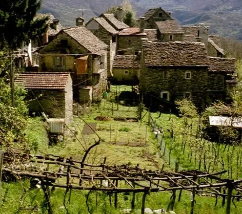 Excellent Estate Of Properties for Sale In Canei, Piedmont Italy