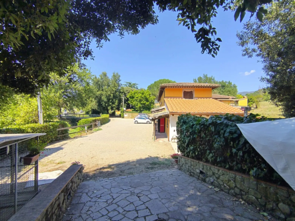 Luxury Estate & Canine Business for Sale In Terranuova Bracciolini Tuscany Italy