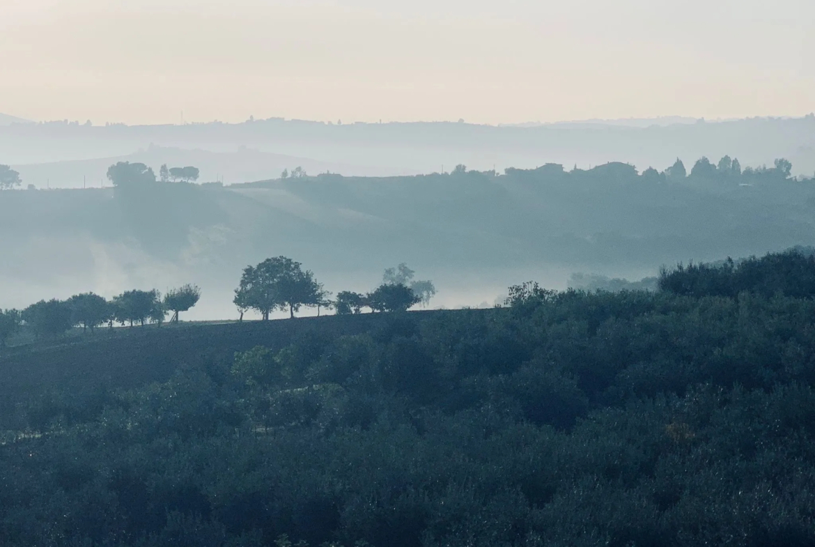 Luxury 6 Bed Villa For sale in MONTENERO DI BISACCIA Molise Abruzzo Italy