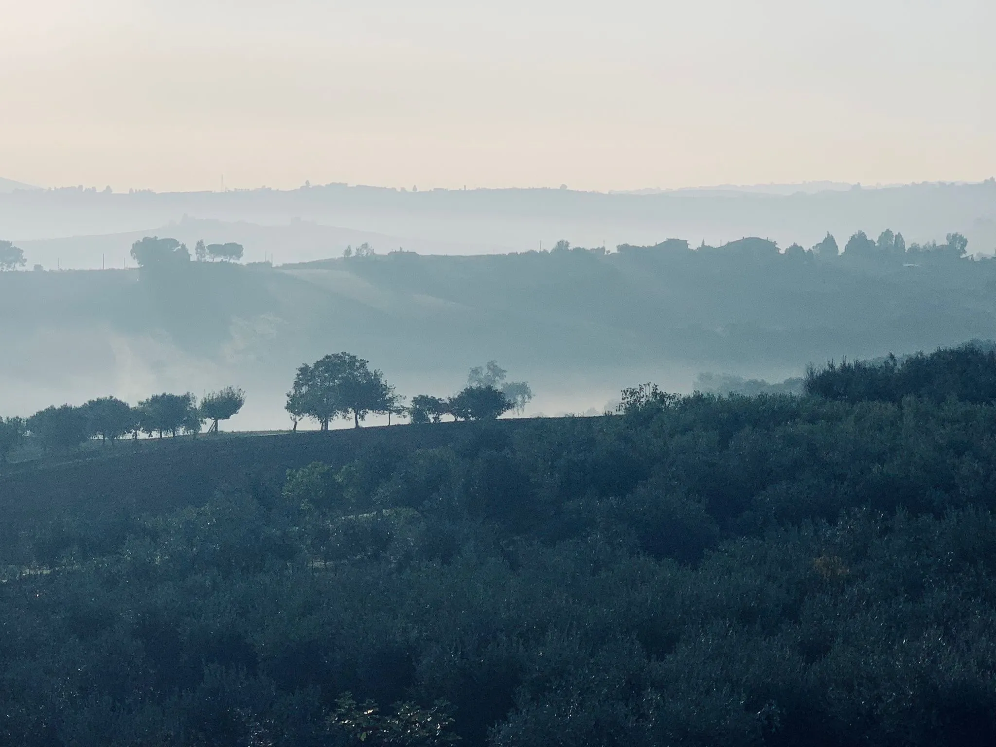 Luxury 6 Bed Villa For sale in MONTENERO DI BISACCIA Molise Abruzzo Italy