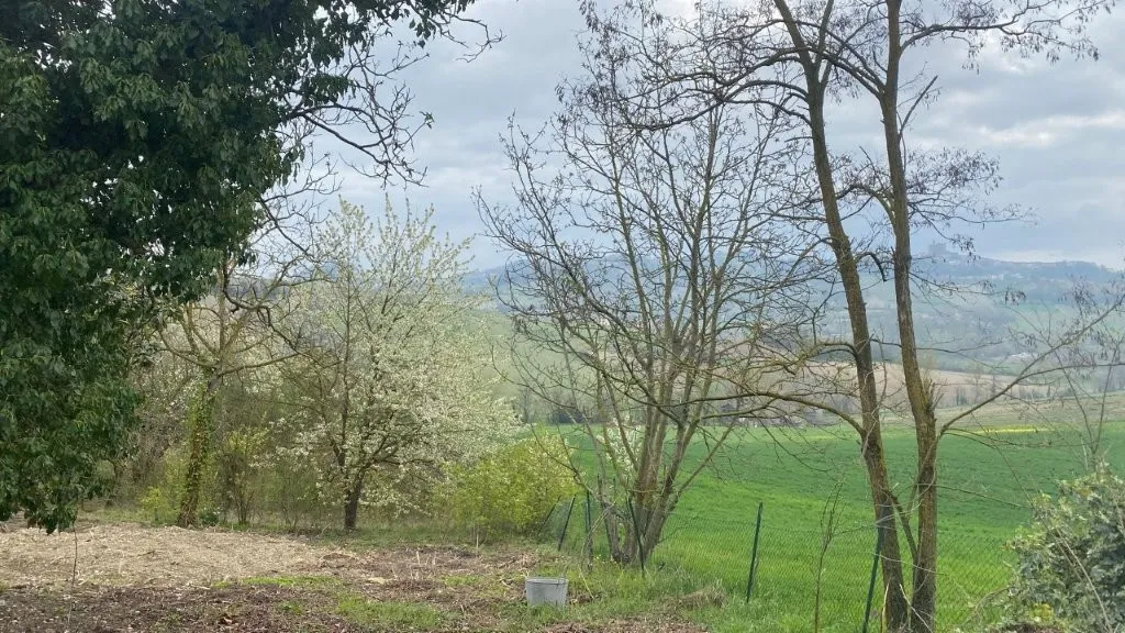 Excellent 3 Bed House for Sale In Ozzano Monferrato Italy