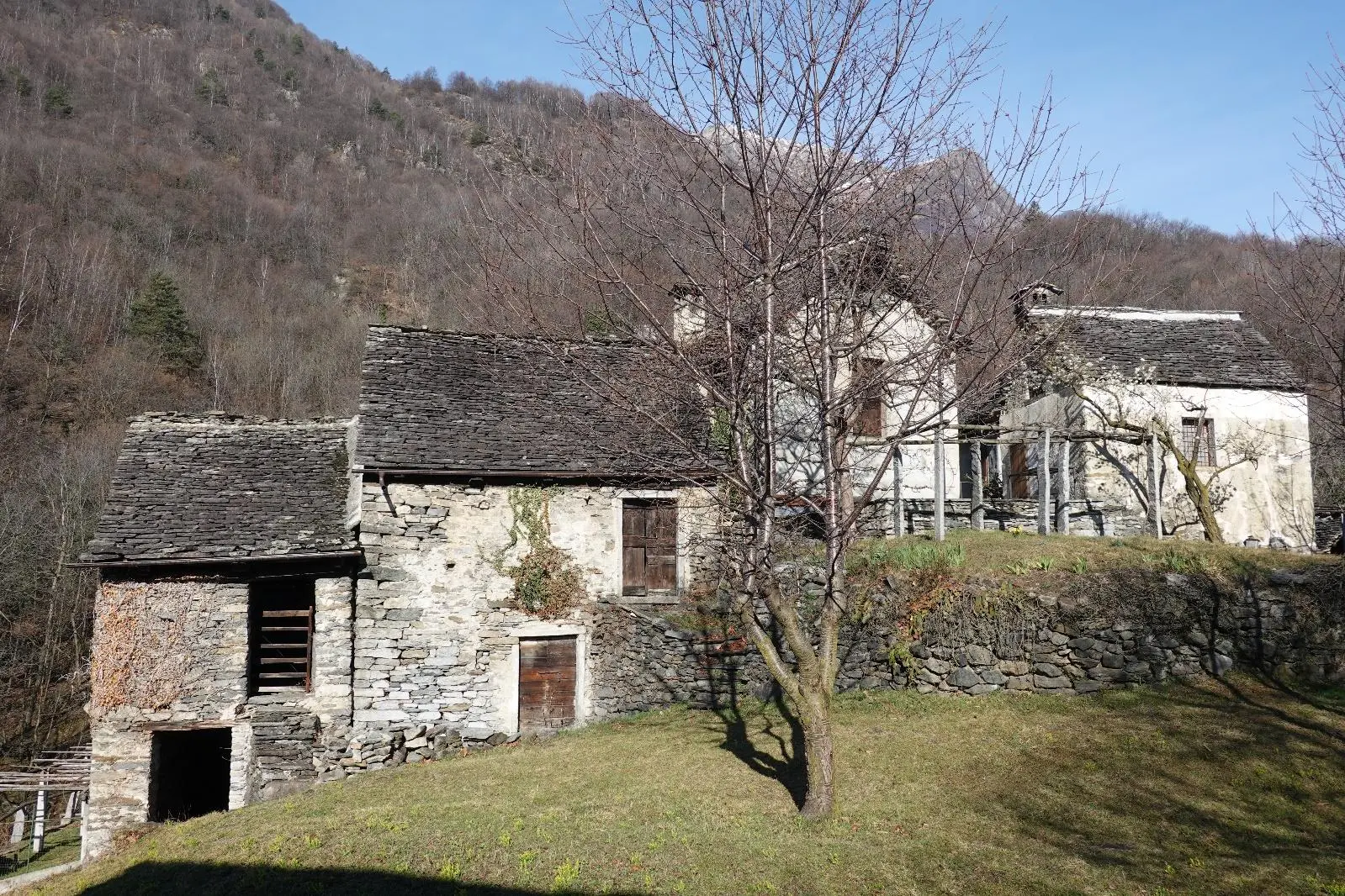 Excellent Estate Of Properties for Sale In Canei, Piedmont Italy