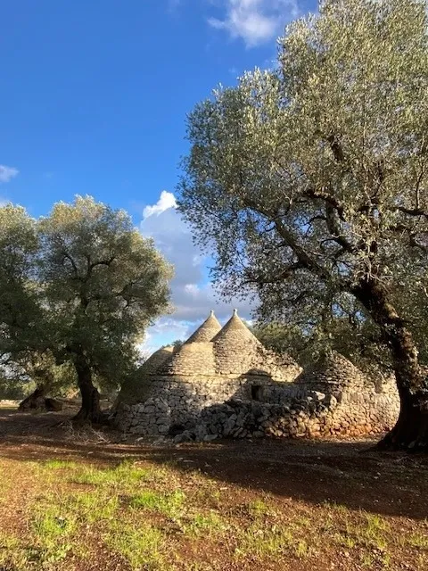 Estate For Redvelopment for Sale In Ceglie Messapica Brindisi Puglia Italy