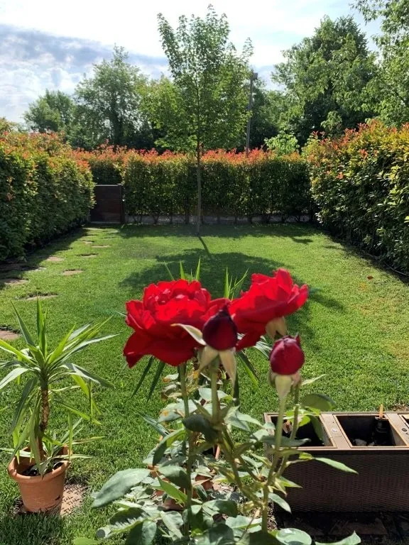 Luxury 4 Bed Semi Detached Villa for Sale In Crevalcore Bologna Italy