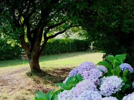 Excellent 4 Bed Villa For Sale in Palestrina Lazio Italy