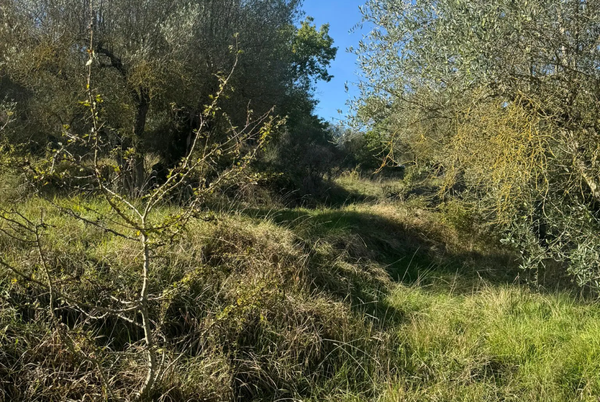 Excellent Plot of land for sale in Sant’Arcangelo Umbria Italy