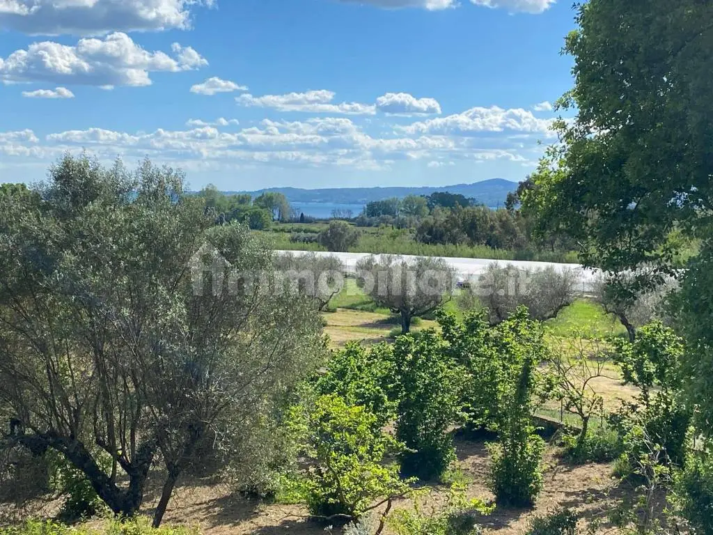 Luxury 6 Bed Villa For Sale in San Lorenzo Nuovo Italy