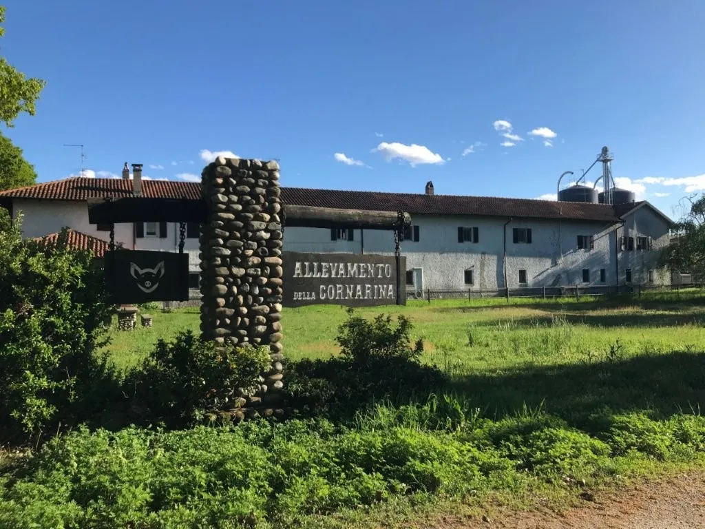 Building with 12 Apartments to Renovate for Sale In Castano Primo Milan Italy