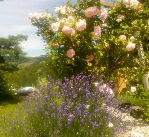 Luxury 5 Bed B&B for Sale In Sant’Angelo in Vado Marche Italy