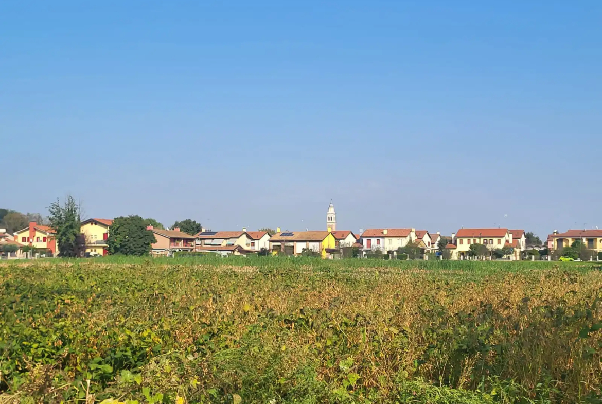 Excellent Plot of land for sale in Silvelle di Trebaseleghe Padua Veneto Italy