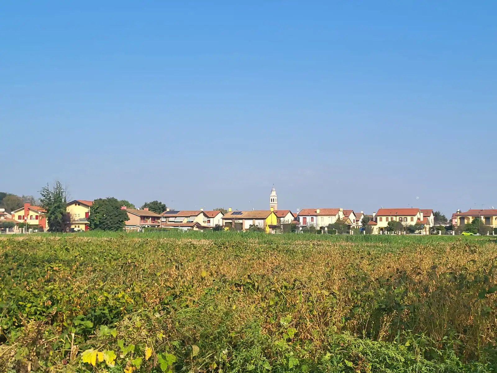 Excellent Plot of land for sale in Silvelle di Trebaseleghe Padua Veneto Italy