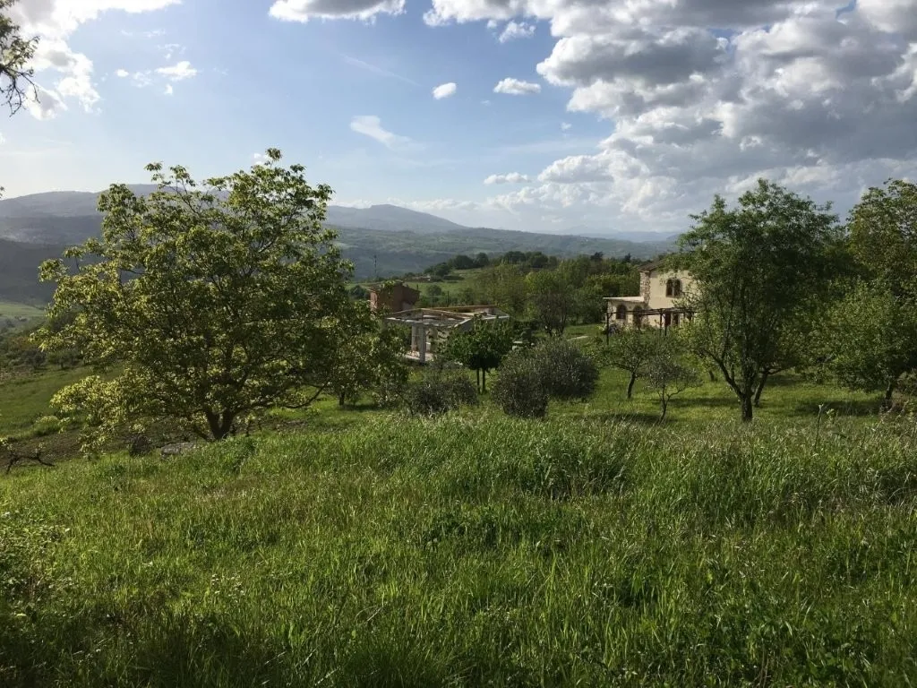 Stunning Country Villa & Separate House for Sale In Busso Italy