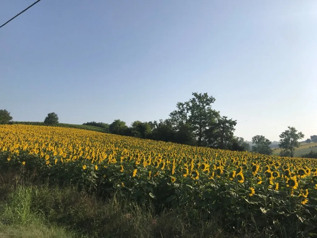 Excellent 3 Bed House for Sale In Ozzano Monferrato Italy