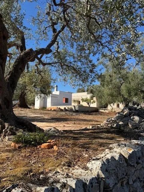 Estate For Redvelopment for Sale In Ceglie Messapica Brindisi Puglia Italy