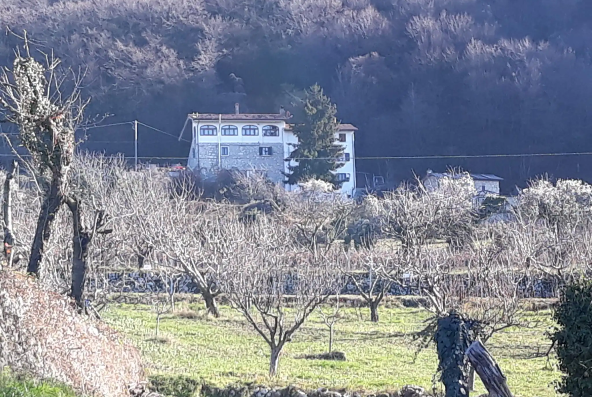 Estate of Properties for Sale In Negrar di Verona Veneto Italy