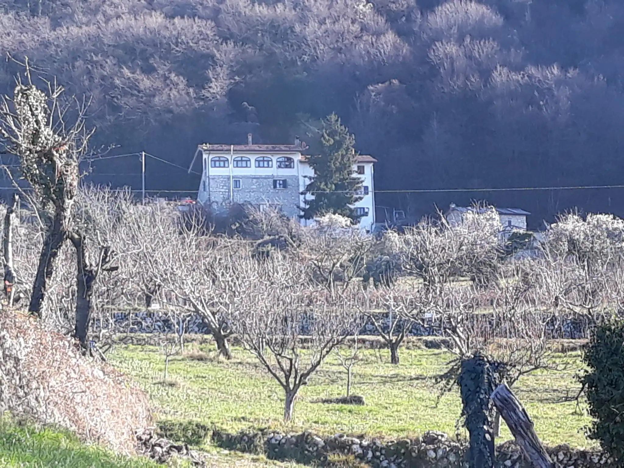 Estate of Properties for Sale In Negrar di Verona Veneto Italy