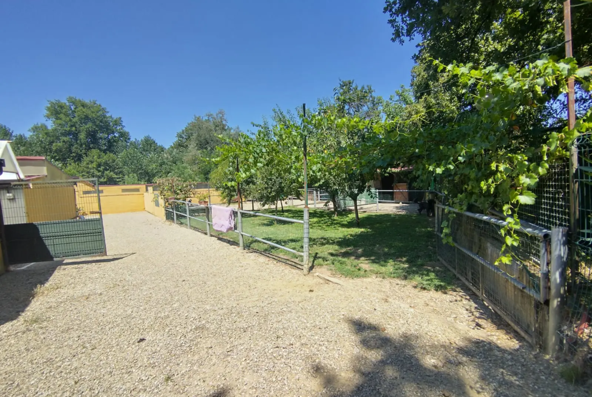 Luxury Estate & Canine Business for Sale In Terranuova Bracciolini Tuscany Italy