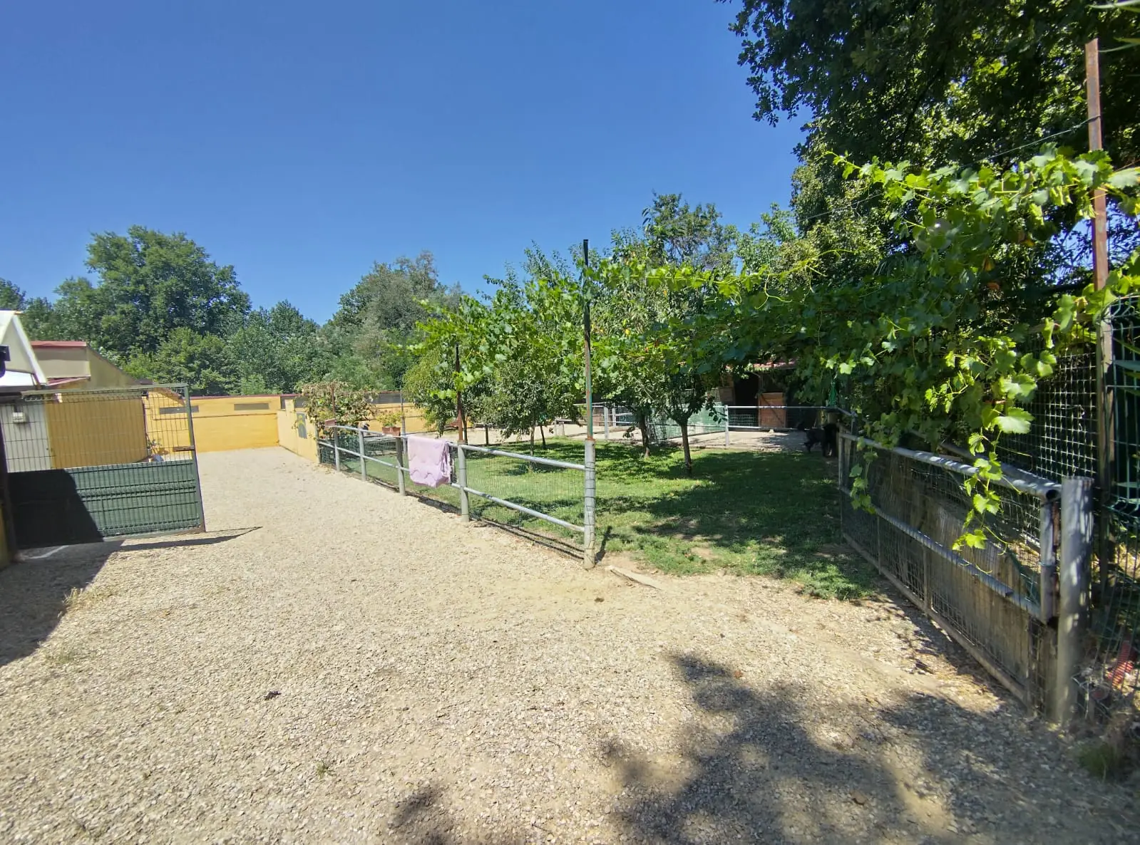 Luxury Estate & Canine Business for Sale In Terranuova Bracciolini Tuscany Italy