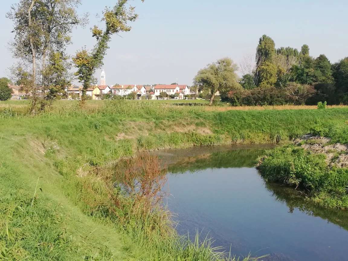 Excellent Plot of land for sale in Silvelle di Trebaseleghe Padua Veneto Italy