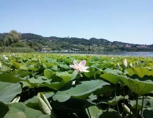 Hotel on Lake Viverone for Sale In Piverone Torino Italy