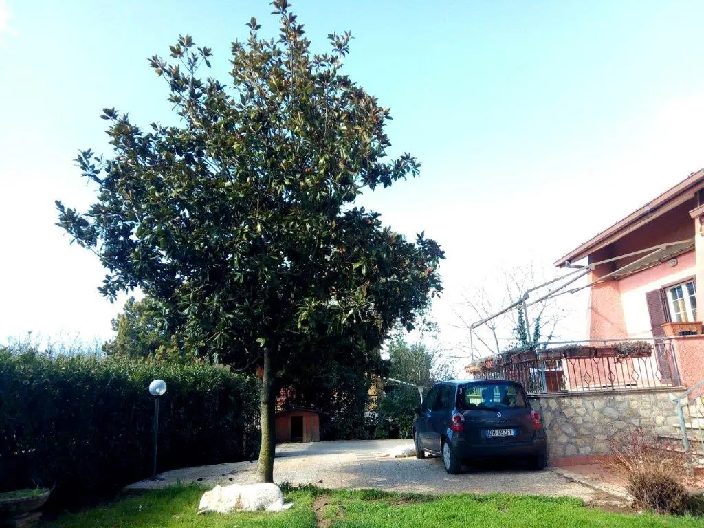 Excellent 4 Bed Villa For Sale in Palestrina Lazio Italy