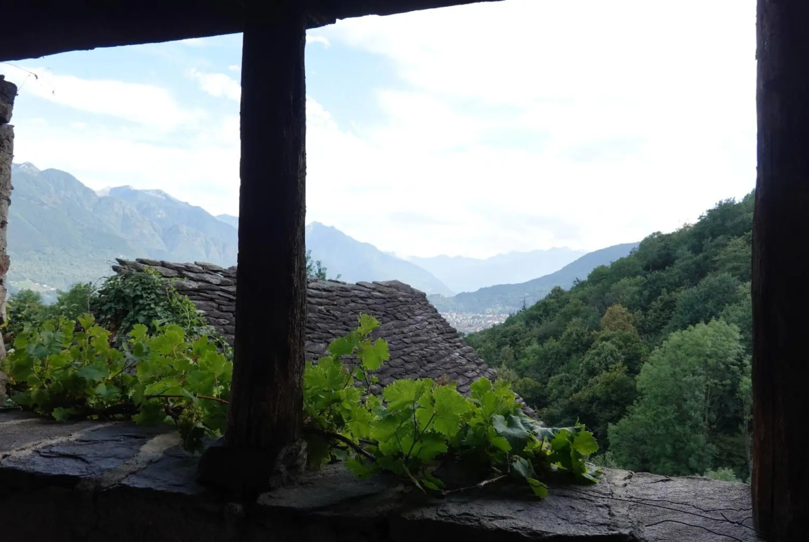 Excellent Estate Of Properties for Sale In Canei, Piedmont Italy
