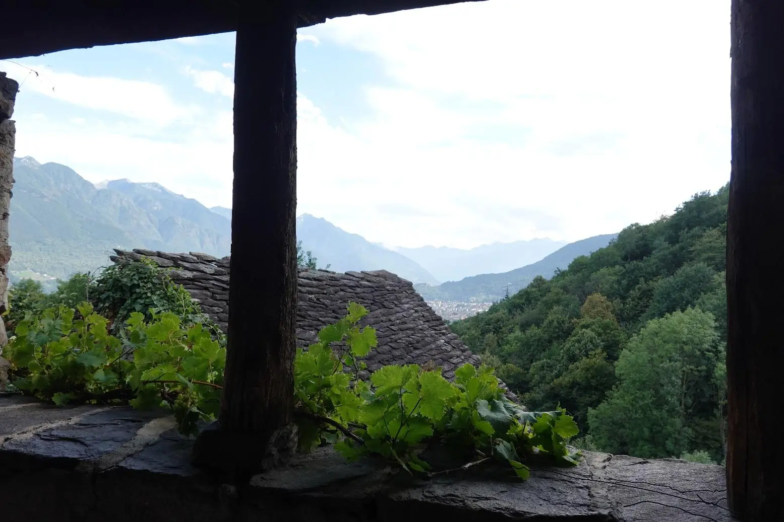 Excellent Estate Of Properties for Sale In Canei, Piedmont Italy