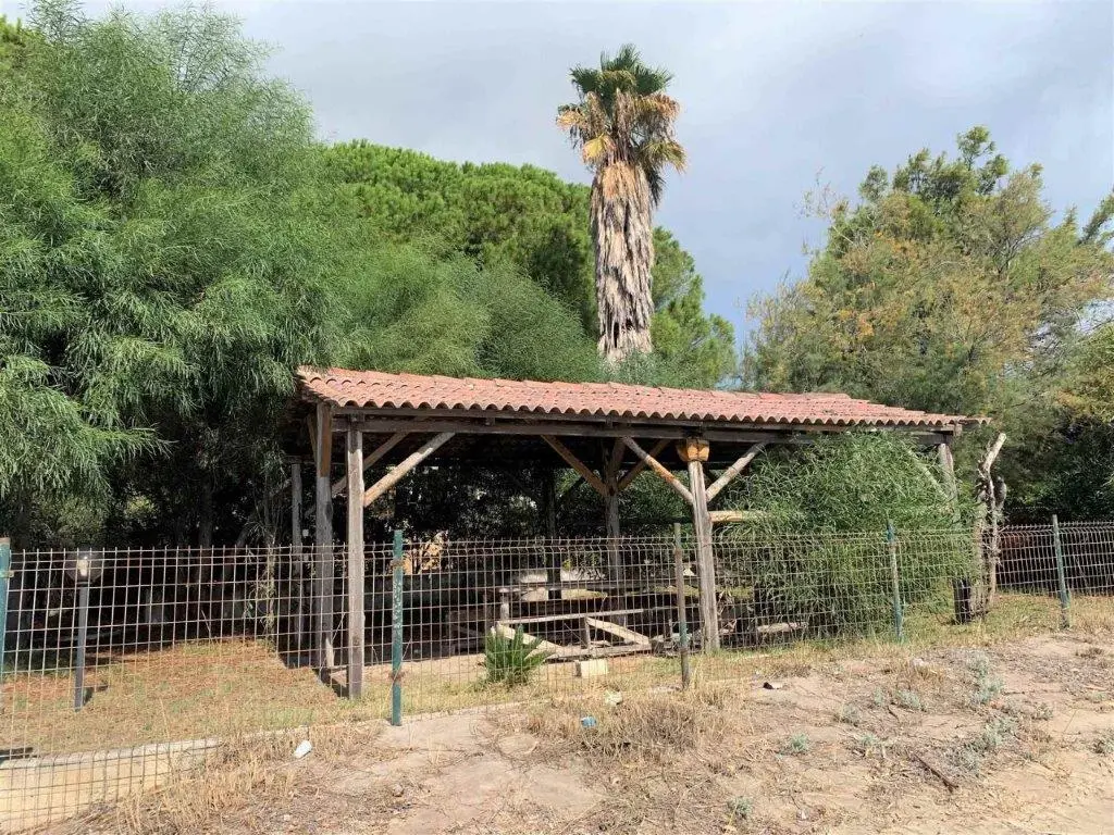 Luxury 5 bed Sea Front Villa for sale in SIMERI CRICHI Calabria Italy