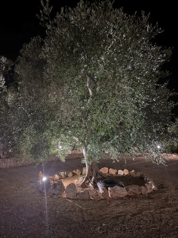 Luxury 3 Villa for Sale In Ostuni Puglia Italy