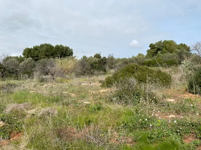 Excellent Plot of land for sale in Morciano di Leuca Puglia Italy