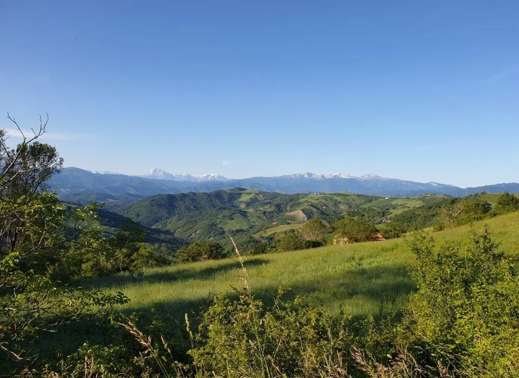 5 Bed Renovated Farmhouse For Sale In Palmiano Marche Italy
