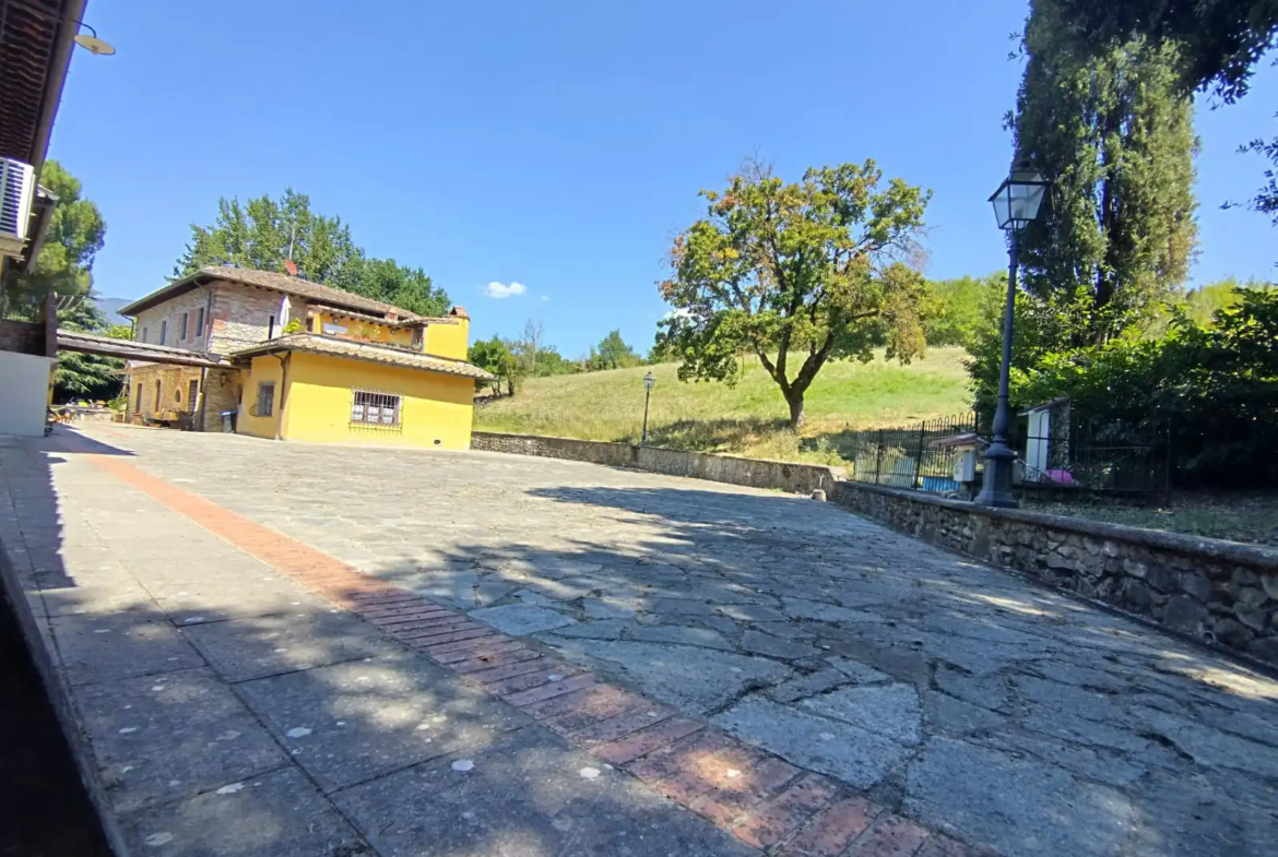 Luxury Estate & Canine Business for Sale In Terranuova Bracciolini Tuscany Italy