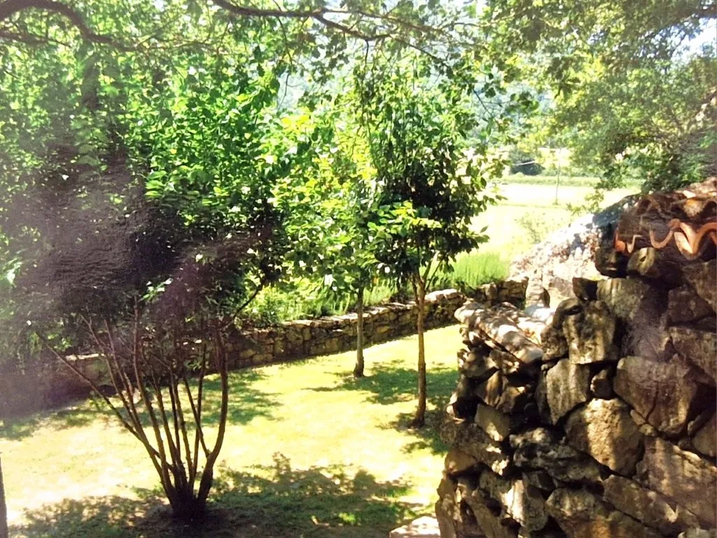 Estate with Multiple Properties for Sale In Cortona Tuscany Italy