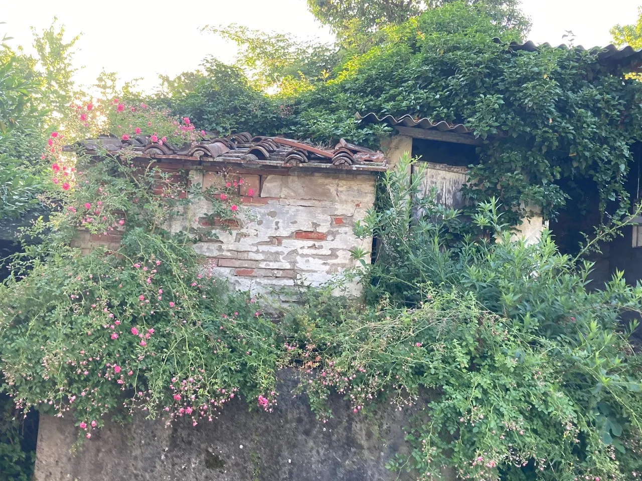 4 Bed House For Renovation for Sale In Capannori Lucca Italy