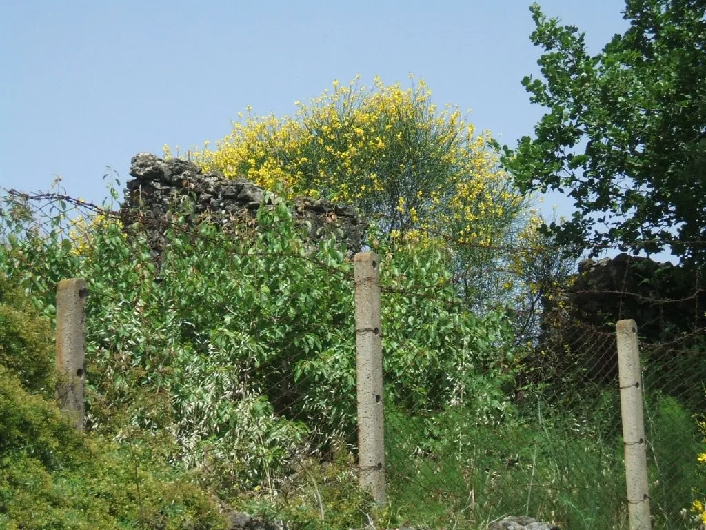 Vineyard With Villa Plans for Sale In Trecastagni Sicily Italy