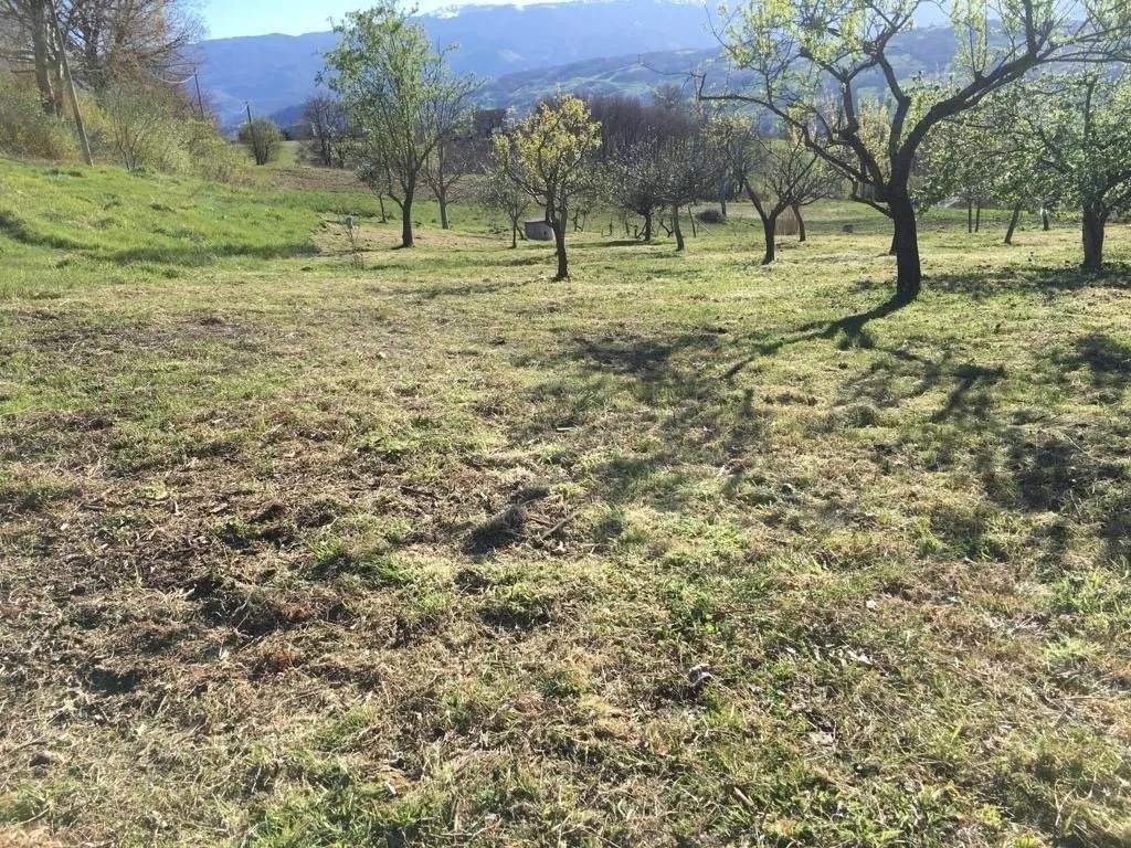 Stunning Country Villa & Separate House for Sale In Busso Italy