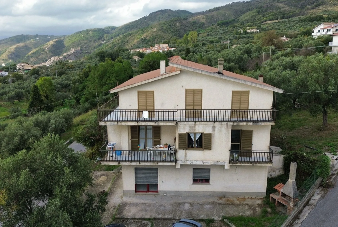 Commerical property with apartment for Sale In Cleto Calabria Italy