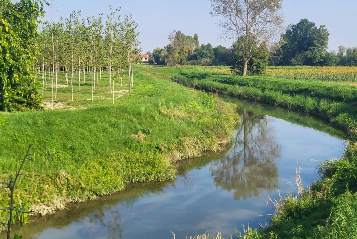 Excellent Plot of land for sale in Silvelle di Trebaseleghe Padua Veneto Italy