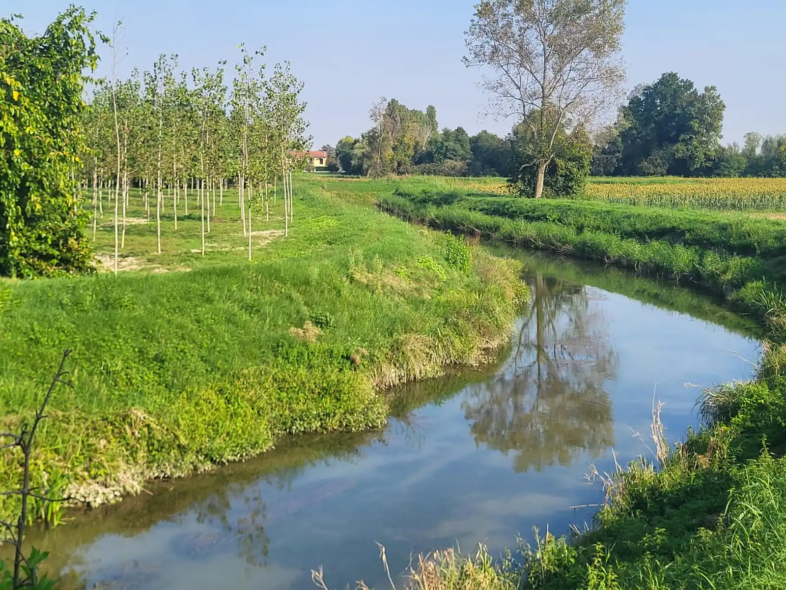Excellent Plot of land for sale in Silvelle di Trebaseleghe Padua Veneto Italy