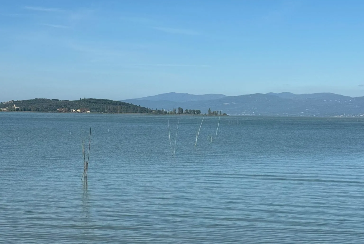 Excellent Plot of land for sale in Sant’Arcangelo Umbria Italy