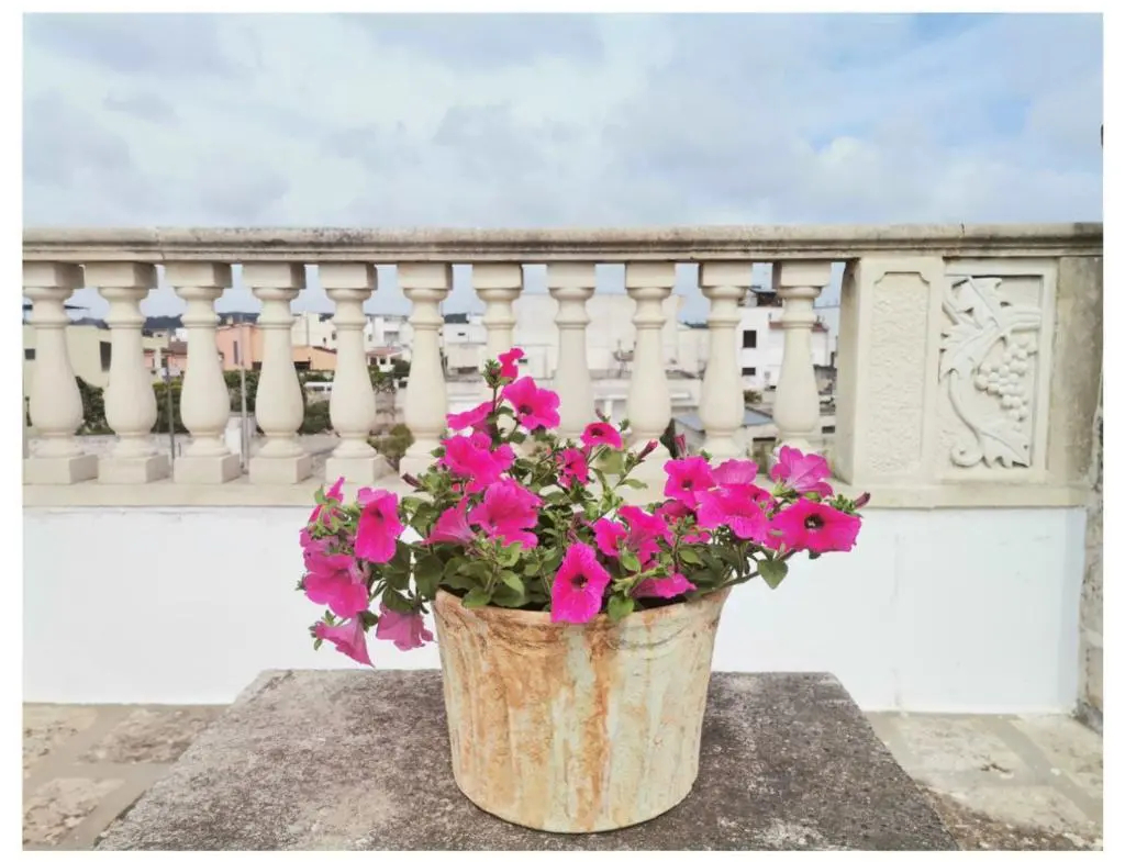 Stunning 3 Bed Townhouse For Sale in Poggiardo Puglia Italy