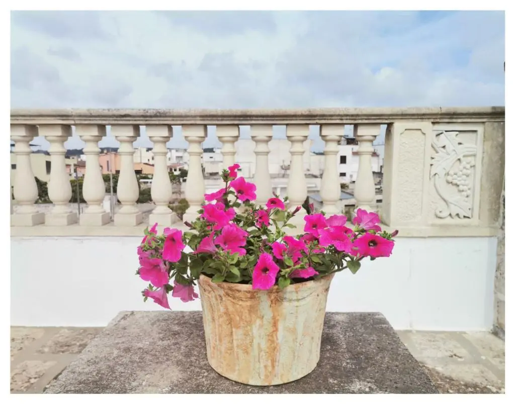 Stunning 3 Bed Townhouse For Sale in Poggiardo Puglia Italy