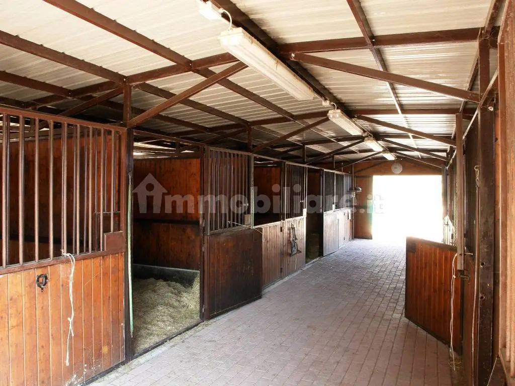 Luxury 8 Bed Farmhouse With Land for Sale In Sorriva, Viano, Italy