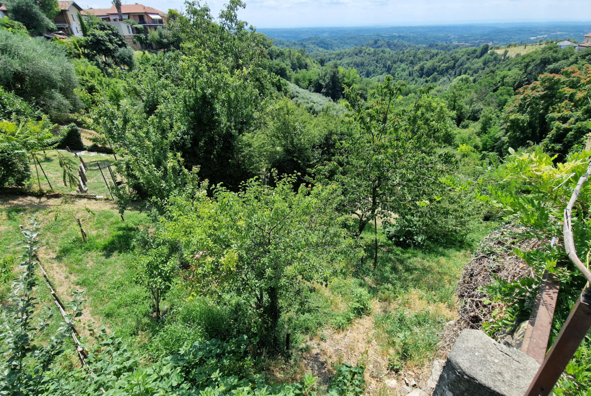 Estate of Properties for Sale In Pino D’Asti Piedmont Italy