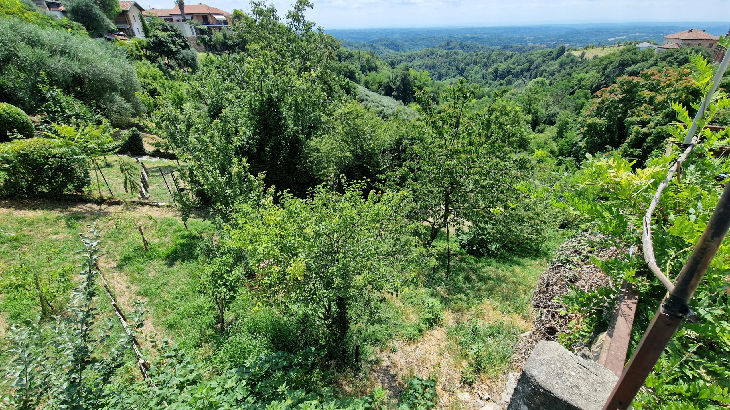 Estate of Properties for Sale In Pino D’Asti Piedmont Italy