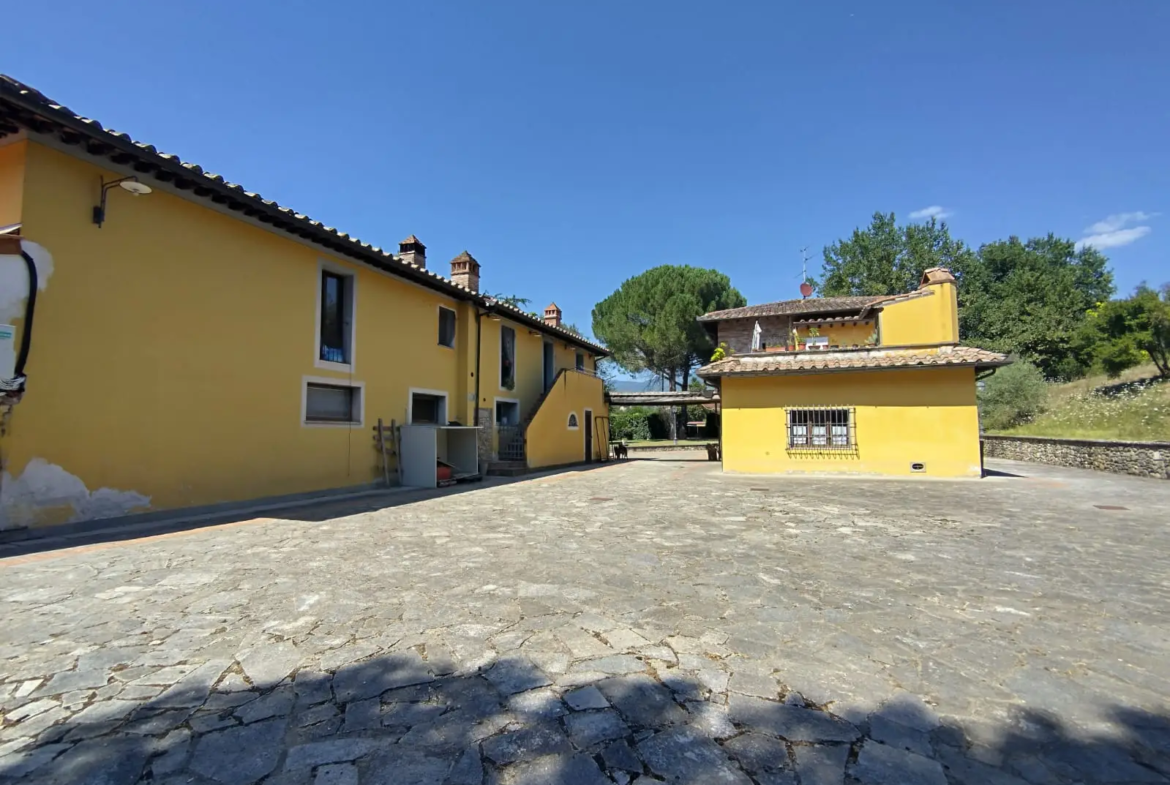 Luxury Estate & Canine Business for Sale In Terranuova Bracciolini Tuscany Italy