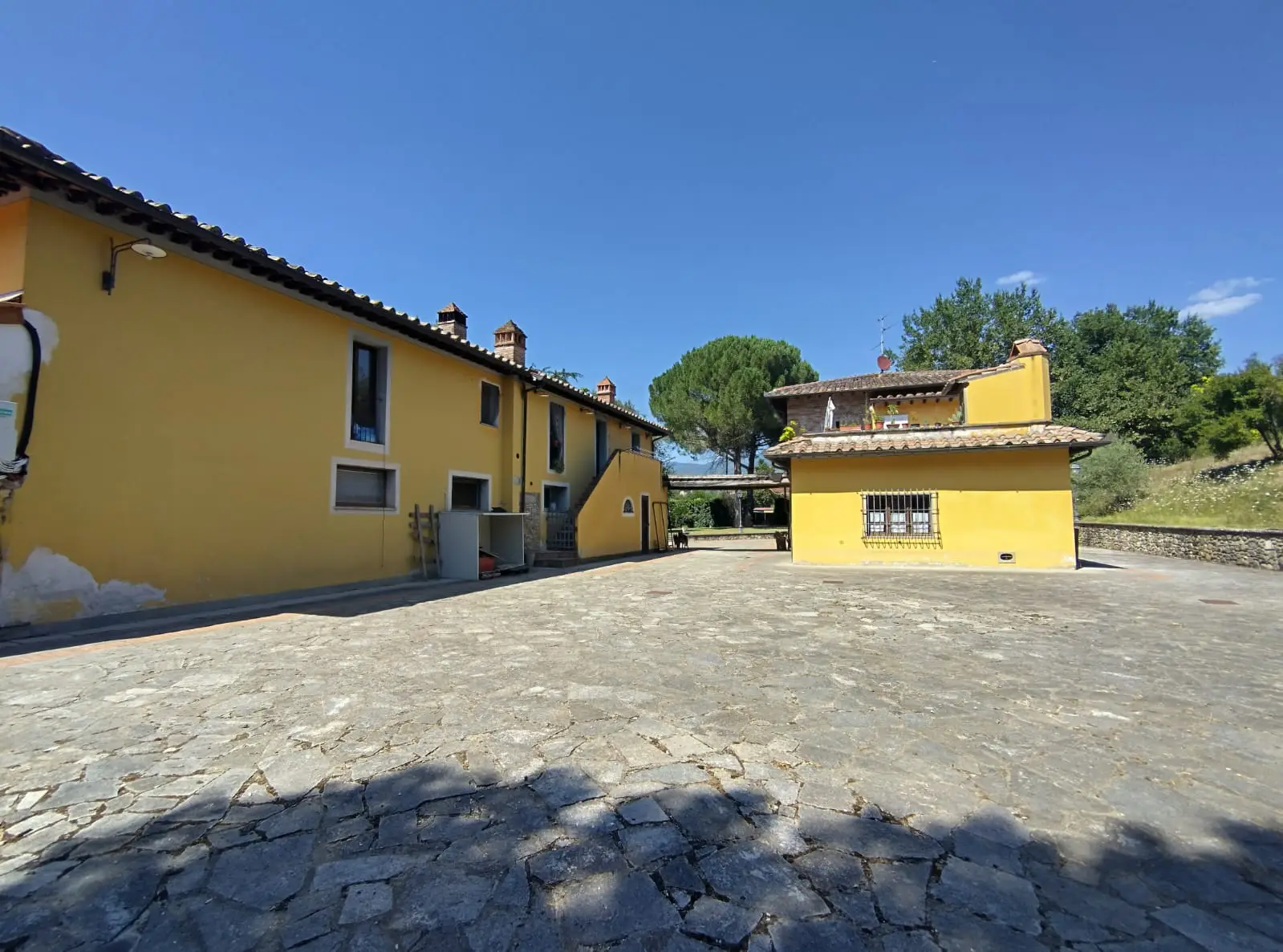 Luxury Estate & Canine Business for Sale In Terranuova Bracciolini Tuscany Italy